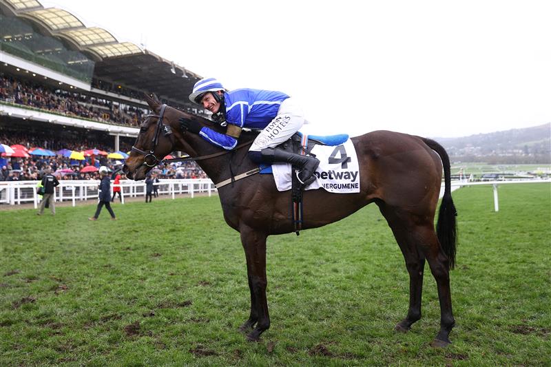 CHELTENHAM, ENGLAND - MARCH 15: Paul Townend riding Energumene celebrates victory in the Champion Chase during day two of the Cheltenham Festival 2023 at Cheltenham Racecourse on March 15, 2023 in Cheltenham, England. (Photo by Michael Steele/Getty Images)