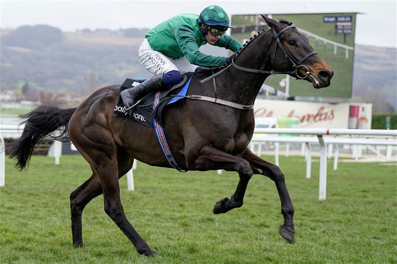 CHELTENHAM, ENGLAND - MARCH 15: Paul Townend riding Impaire Et Passe clear the last to win The Ballymore Novices' Hurdle during day two of the Cheltenham Festival 2023 at Cheltenham Racecourse on March 15, 2023 in Cheltenham, England. (Photo by Alan Crowhurst/Getty Images)