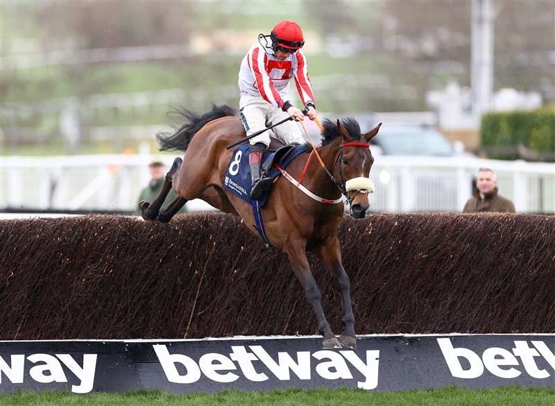 CHELTENHAM, ENGLAND - MARCH 15: Sam Twiston-Davies riding The Real Whacker clears the final fence to win the Brown Advisory Novices' Chase during day two of the Cheltenham Festival 2023 at Cheltenham Racecourse on March 15, 2023 in Cheltenham, England. (Photo by Michael Steele/Getty Images)