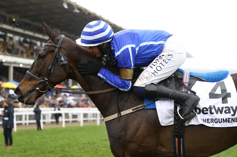cheltenham