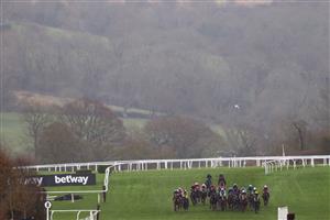 CHELTENHAM, ENGLAND - MARCH 15: Runners and riders during the Coral Cup Hurdle during day two of the Cheltenham Festival 2023 at Cheltenham Racecourse on March 15, 2023 in Cheltenham, England. (Photo by Michael Steele/Getty Images)