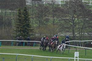 CHELTENHAM, ENGLAND - MARCH 15: A general view during The Glenfarclas Chase during day two of the Cheltenham Festival 2023 at Cheltenham Racecourse on March 15, 2023 in Cheltenham, England. (Photo by Alan Crowhurst/Getty Images)