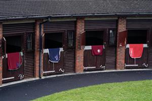 CHELTENHAM, ENGLAND - MARCH 15: Rugs hang over the stable doors in the pre parade ring during day two of the Cheltenham Festival 2023 at Cheltenham Racecourse on March 15, 2023 in Cheltenham, England. (Photo by Alan Crowhurst/Getty Images)