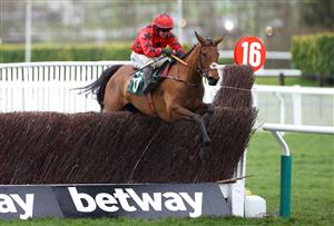 CHELTENHAM, ENGLAND - MARCH 15: Darragh O'Keeffe riding Maskada clears a hurdle on the way to winning the Grand Annual Chase during day two of the Cheltenham Festival 2023 at Cheltenham Racecourse on March 15, 2023 in Cheltenham, England. (Photo by Michael Steele/Getty Images)