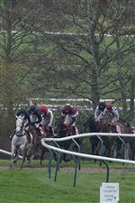 CHELTENHAM, ENGLAND - MARCH 15: A general view during The Glenfarclas Chase during day two of the Cheltenham Festival 2023 at Cheltenham Racecourse on March 15, 2023 in Cheltenham, England. (Photo by Alan Crowhurst/Getty Images)