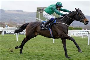 CHELTENHAM, ENGLAND - MARCH 15: Paul Townend riding Impaire Et Passe clear the last to win The Ballymore Novices' Hurdle during day two of the Cheltenham Festival 2023 at Cheltenham Racecourse on March 15, 2023 in Cheltenham, England. (Photo by Alan Crowhurst/Getty Images)