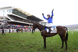 CHELTENHAM, ENGLAND - MARCH 15: Paul Townend riding Energumene celebrates victory in the Champion Chase during day two of the Cheltenham Festival 2023 at Cheltenham Racecourse on March 15, 2023 in Cheltenham, England. (Photo by Michael Steele/Getty Images)