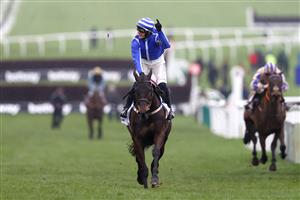 CHELTENHAM, ENGLAND - MARCH 15: Paul Townend riding Energumene celebrates victory in the Champion Chase during day two of the Cheltenham Festival 2023 at Cheltenham Racecourse on March 15, 2023 in Cheltenham, England. (Photo by Michael Steele/Getty Images)