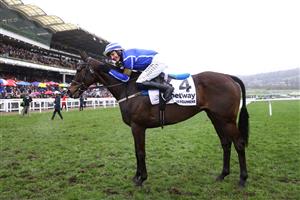 CHELTENHAM, ENGLAND - MARCH 15: Paul Townend riding Energumene celebrates victory in the Champion Chase during day two of the Cheltenham Festival 2023 at Cheltenham Racecourse on March 15, 2023 in Cheltenham, England. (Photo by Michael Steele/Getty Images)