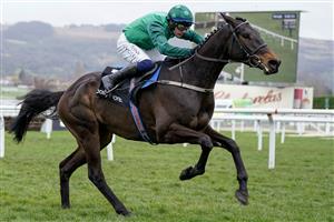 CHELTENHAM, ENGLAND - MARCH 15: Paul Townend riding Impaire Et Passe clear the last to win The Ballymore Novices' Hurdle during day two of the Cheltenham Festival 2023 at Cheltenham Racecourse on March 15, 2023 in Cheltenham, England. (Photo by Alan Crowhurst/Getty Images)