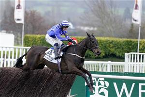 CHELTENHAM, ENGLAND - MARCH 15: Paul Townend riding Energumene clear the last to win The Betway Queen Mother Champion Chase during day two of the Cheltenham Festival 2023 at Cheltenham Racecourse on March 15, 2023 in Cheltenham, England. (Photo by Alan Crowhurst/Getty Images)