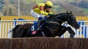 Cheltenham Day 4 Entries - Galopin Des Champs heads field of 13 for Gold Cup