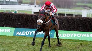 Newspaper Racing Tips - The Real Whacker and Edwardstone the tipster's picks on day two
