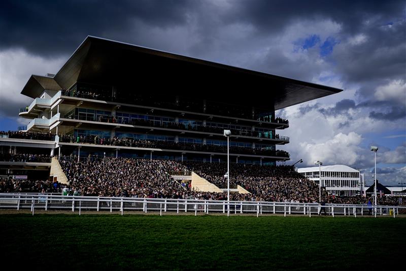 CHELTENHAM, ENGLAND - MARCH 17: A packed grandstand during day four of the Cheltenham Festival 2023 at Cheltenham Racecourse on March 17, 2023 in Cheltenham, England. (Photo by Alan Crowhurst/Getty Images)