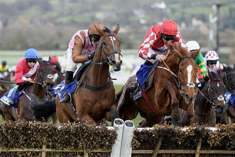 CHELTENHAM, ENGLAND - MARCH 17: Bridget Andrews riding Faivoir (L, brown) clear the last to win The McCoy Contractors County Handicap Hurdle during day four of the Cheltenham Festival 2023 at Cheltenham Racecourse on March 17, 2023 in Cheltenham, England. (Photo by Alan Crowhurst/Getty Images)