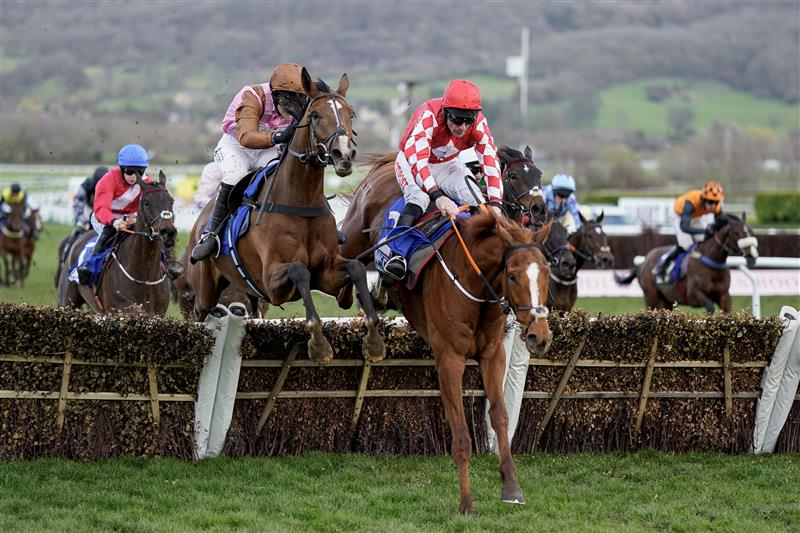 CHELTENHAM, ENGLAND - MARCH 17: Bridget Andrews riding Faivoir (L, brown) clear the last to win The McCoy Contractors County Handicap Hurdle during day four of the Cheltenham Festival 2023 at Cheltenham Racecourse on March 17, 2023 in Cheltenham, England. (Photo by Alan Crowhurst/Getty Images)