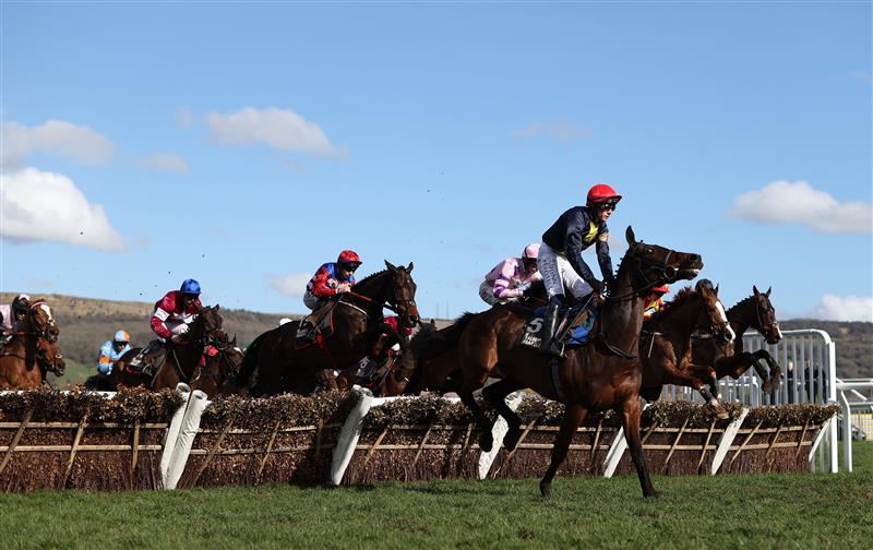 CHELTENHAM, ENGLAND - MARCH 17: Runners take a flight during the Albert Bartlett Novices Hurdle during day four of the Cheltenham Festival 2023 at Cheltenham Racecourse on March 17, 2023 in Cheltenham, England. (Photo by Ryan Pierse/Getty Images)
