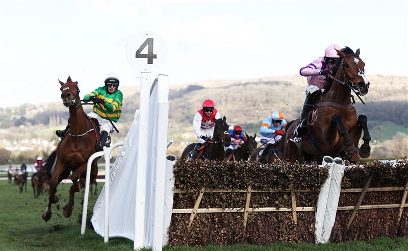 CHELTENHAM, ENGLAND - MARCH 17: Mark Walsh on board Corbetts Cross (L) collides with the rails as Harry Cobden on board Stay Away Fay jumps the last on their way to winning the Albert Bartlett Novices Hurdle during day four of the Cheltenham Festival 2023 at Cheltenham Racecourse on March 17, 2023 in Cheltenham, England. (Photo by Ryan Pierse/Getty Images)