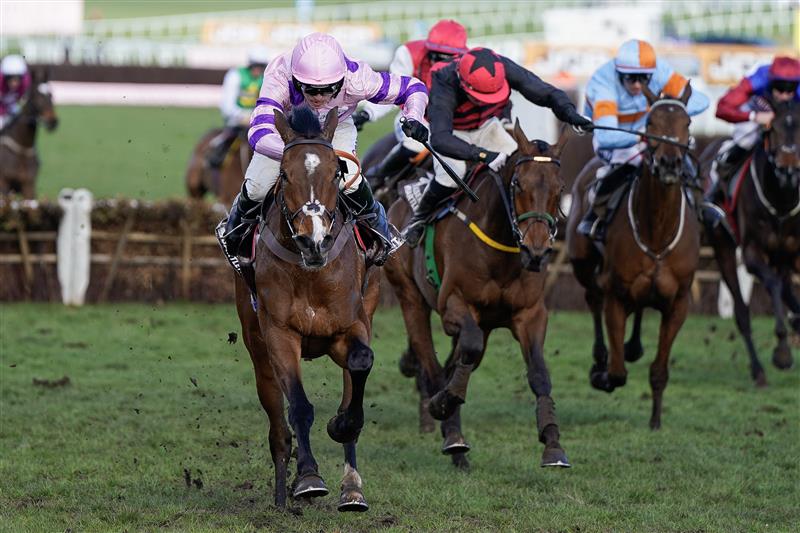 CHELTENHAM, ENGLAND - MARCH 17: Harry Cobden riding Stay Away Fay (pink) clear the last to win The Albert Bartlett Novices' Hurdle during day four of the Cheltenham Festival 2023 at Cheltenham Racecourse on March 17, 2023 in Cheltenham, England. (Photo by Alan Crowhurst/Getty Images)