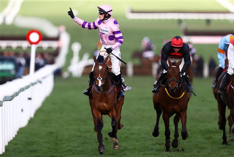 CHELTENHAM, ENGLAND - MARCH 17: Harry Cobden celebrates on board Stay Away Fay after winning the Albert Bartlett Novices Hurdle during day four of the Cheltenham Festival 2023 at Cheltenham Racecourse on March 17, 2023 in Cheltenham, England. (Photo by Michael Steele/Getty Images)