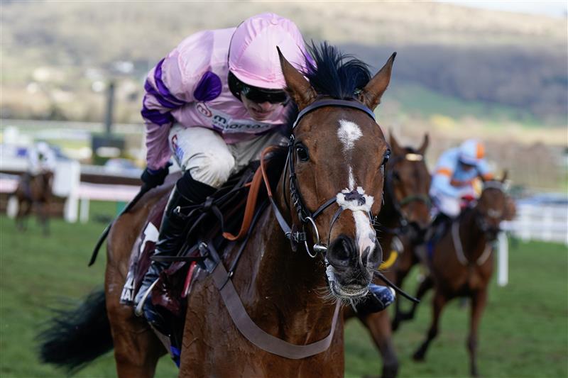 CHELTENHAM, ENGLAND - MARCH 17: Harry Cobden riding Stay Away Fay (pink) clear the last to win The Albert Bartlett Novices' Hurdle during day four of the Cheltenham Festival 2023 at Cheltenham Racecourse on March 17, 2023 in Cheltenham, England. (Photo by Alan Crowhurst/Getty Images)