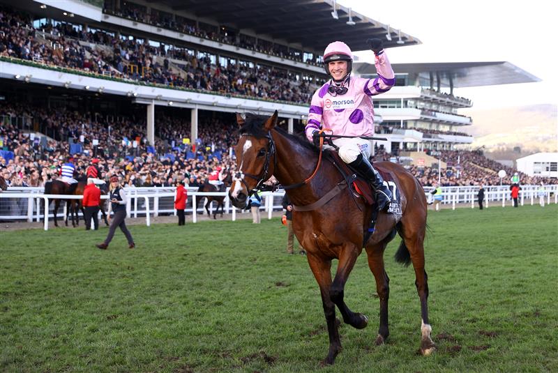 CHELTENHAM, ENGLAND - MARCH 17: Harry Cobden celebrates on board Stay Away Fay after winning the Albert Bartlett Novices Hurdle during day four of the Cheltenham Festival 2023 at Cheltenham Racecourse on March 17, 2023 in Cheltenham, England. (Photo by Michael Steele/Getty Images)