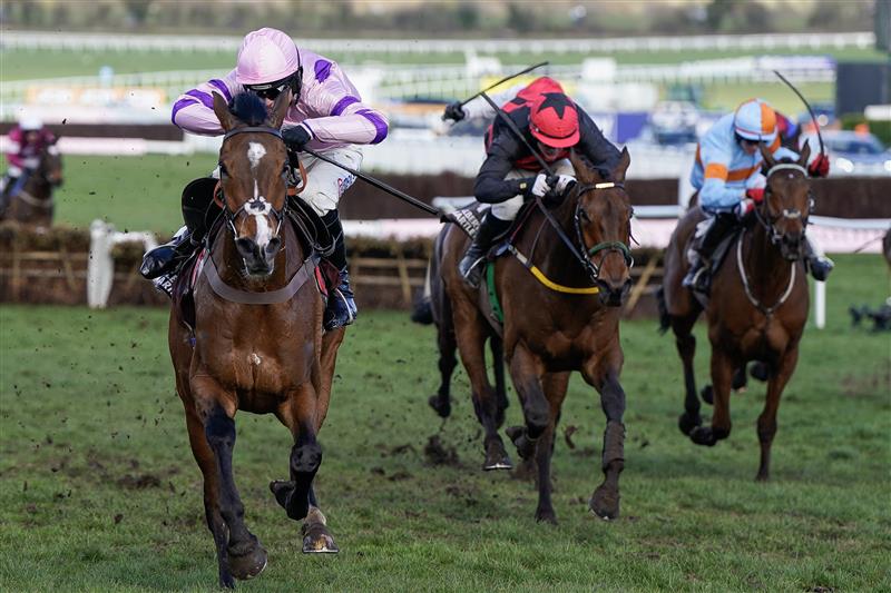 CHELTENHAM, ENGLAND - MARCH 17: Harry Cobden riding Stay Away Fay (pink) clear the last to win The Albert Bartlett Novices' Hurdle during day four of the Cheltenham Festival 2023 at Cheltenham Racecourse on March 17, 2023 in Cheltenham, England. (Photo by Alan Crowhurst/Getty Images)