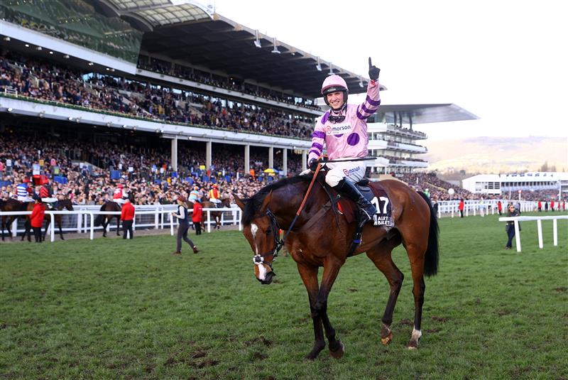 CHELTENHAM, ENGLAND - MARCH 17: Harry Cobden celebrates on board Stay Away Fay after winning the Albert Bartlett Novices Hurdle during day four of the Cheltenham Festival 2023 at Cheltenham Racecourse on March 17, 2023 in Cheltenham, England. (Photo by Michael Steele/Getty Images)