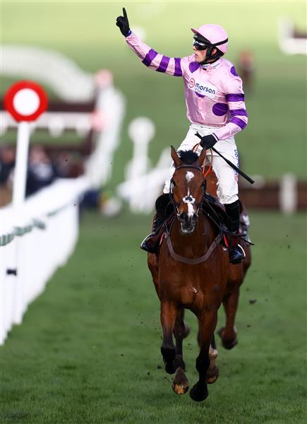 CHELTENHAM, ENGLAND - MARCH 17: Harry Cobden celebrates on board Stay Away Fay after winning the Albert Bartlett Novices Hurdle during day four of the Cheltenham Festival 2023 at Cheltenham Racecourse on March 17, 2023 in Cheltenham, England. (Photo by Michael Steele/Getty Images)