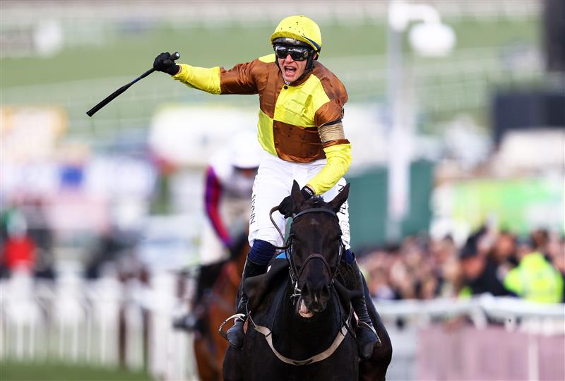CHELTENHAM, ENGLAND - MARCH 17: Paul Townend on board Galopin Des Champs celebrate after winning the Boodles Cheltenham Gold Cup Chase during day four of the Cheltenham Festival 2023 at Cheltenham Racecourse on March 17, 2023 in Cheltenham, England. (Photo by Michael Steele/Getty Images)