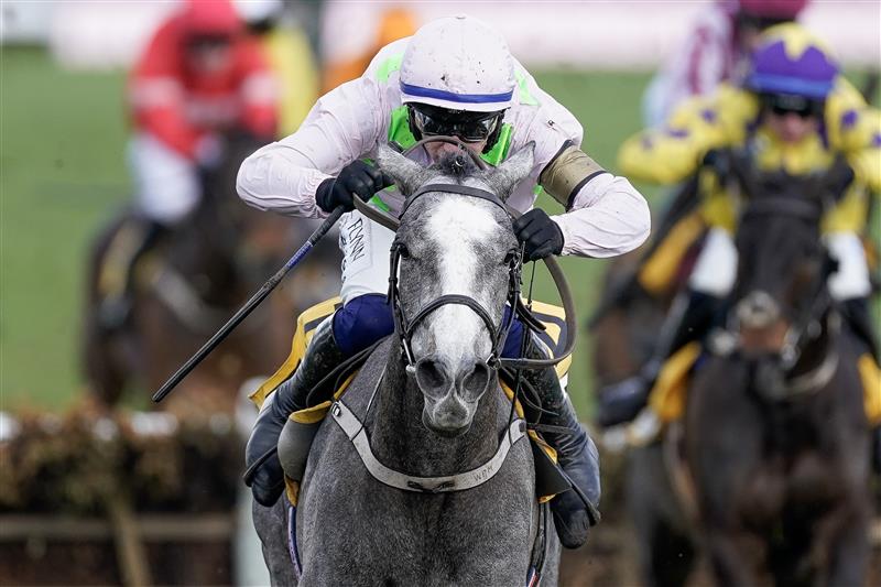CHELTENHAM, ENGLAND - MARCH 17: Paul Townend riding Lossiemouth (pink) clear the last to win The JCB Triumph Hurdle during day four of the Cheltenham Festival 2023 at Cheltenham Racecourse on March 17, 2023 in Cheltenham, England. (Photo by Alan Crowhurst/Getty Images)