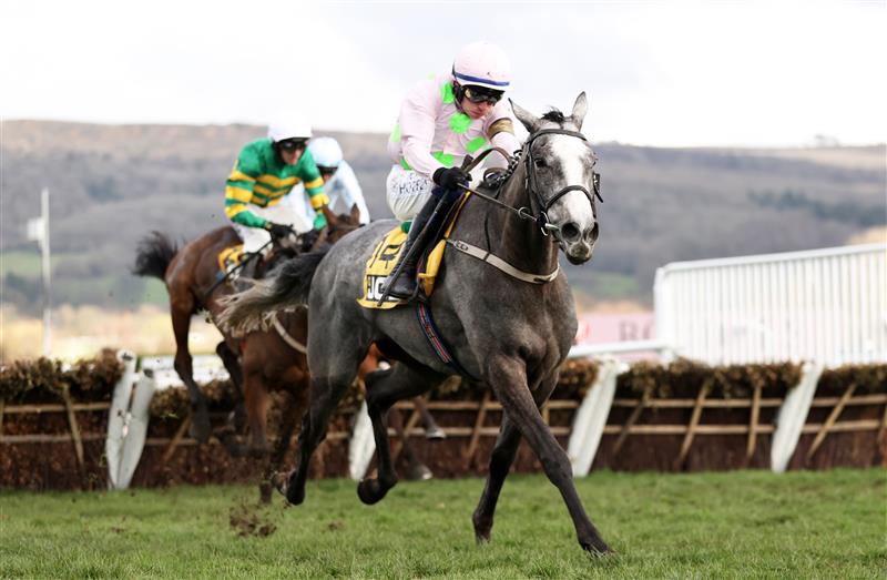 CHELTENHAM, ENGLAND - MARCH 17: Paul Townend on board Lossiemouth jumps the last on their way to winning the JCB Triumph Hurdle during day four of the Cheltenham Festival 2023 at Cheltenham Racecourse on March 17, 2023 in Cheltenham, England. (Photo by Ryan Pierse/Getty Images)