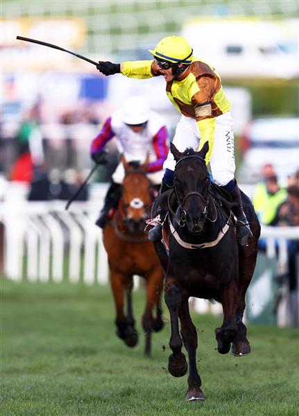 CHELTENHAM, ENGLAND - MARCH 17: Paul Townend on board Galopin Des Champs celebrate after winning the Boodles Cheltenham Gold Cup Chase during day four of the Cheltenham Festival 2023 at Cheltenham Racecourse on March 17, 2023 in Cheltenham, England. (Photo by Michael Steele/Getty Images)