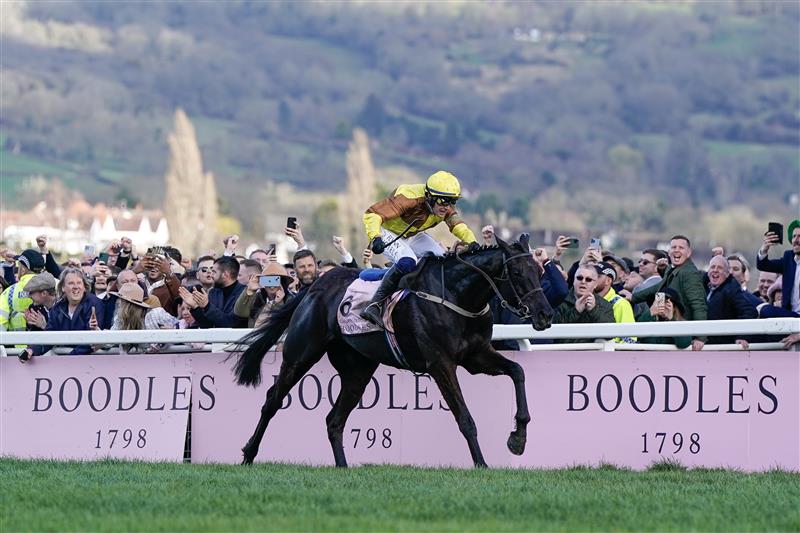 CHELTENHAM, ENGLAND - MARCH 17: Paul Townend riding Galopin Des Champs win The Boodles Cheltenham Gold Cup Chase during day four of the Cheltenham Festival 2023 at Cheltenham Racecourse on March 17, 2023 in Cheltenham, England. (Photo by Alan Crowhurst/Getty Images)