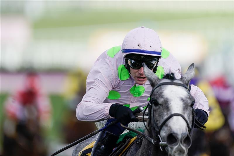 CHELTENHAM, ENGLAND - MARCH 17: Paul Townend riding Lossiemouth (pink) clear the last to win The JCB Triumph Hurdle during day four of the Cheltenham Festival 2023 at Cheltenham Racecourse on March 17, 2023 in Cheltenham, England. (Photo by Alan Crowhurst/Getty Images)