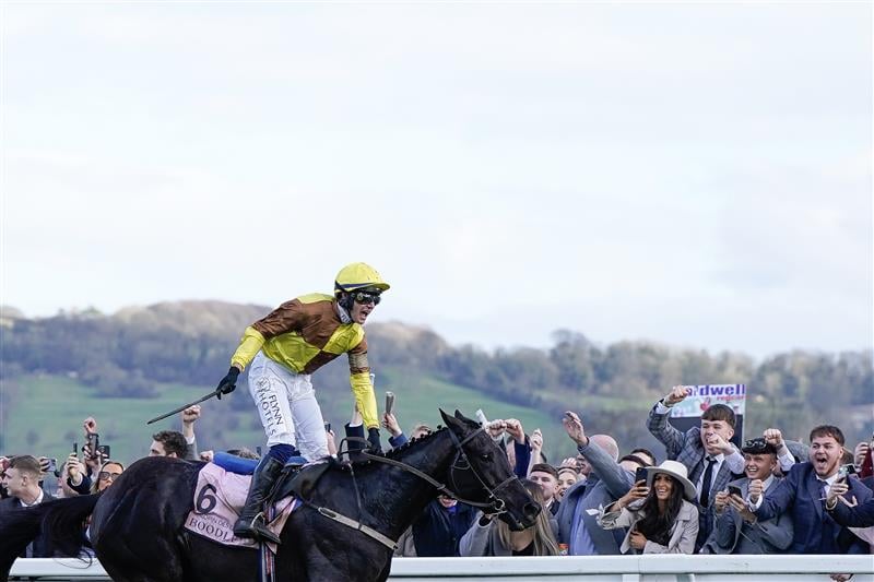 CHELTENHAM, ENGLAND - MARCH 17: Paul Townend riding Galopin Des Champs win The Boodles Cheltenham Gold Cup Chase during day four of the Cheltenham Festival 2023 at Cheltenham Racecourse on March 17, 2023 in Cheltenham, England. (Photo by Alan Crowhurst/Getty Images)