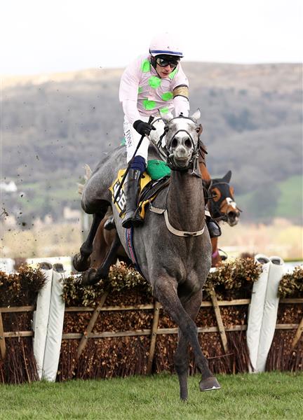 CHELTENHAM, ENGLAND - MARCH 17: Paul Townend on board Lossiemouth jumps the last on their way to winning the JCB Triumph Hurdle during day four of the Cheltenham Festival 2023 at Cheltenham Racecourse on March 17, 2023 in Cheltenham, England. (Photo by Ryan Pierse/Getty Images)