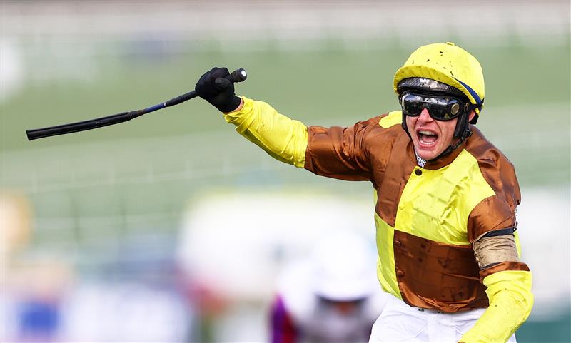 CHELTENHAM, ENGLAND - MARCH 17: Paul Townend on board Galopin Des Champs celebrate after winning the Boodles Cheltenham Gold Cup Chase during day four of the Cheltenham Festival 2023 at Cheltenham Racecourse on March 17, 2023 in Cheltenham, England. (Photo by Michael Steele/Getty Images)