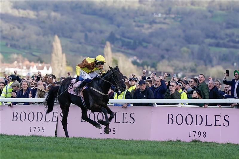 CHELTENHAM, ENGLAND - MARCH 17: Paul Townend riding Galopin Des Champs win The Boodles Cheltenham Gold Cup Chase during day four of the Cheltenham Festival 2023 at Cheltenham Racecourse on March 17, 2023 in Cheltenham, England. (Photo by Alan Crowhurst/Getty Images)