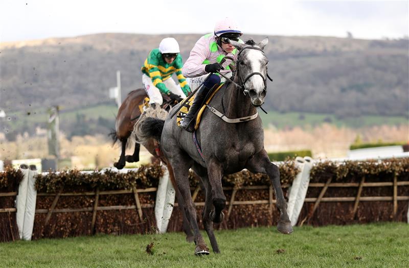 CHELTENHAM, ENGLAND - MARCH 17: Paul Townend on board Lossiemouth jumps the last on their way to winning the JCB Triumph Hurdle during day four of the Cheltenham Festival 2023 at Cheltenham Racecourse on March 17, 2023 in Cheltenham, England. (Photo by Ryan Pierse/Getty Images)