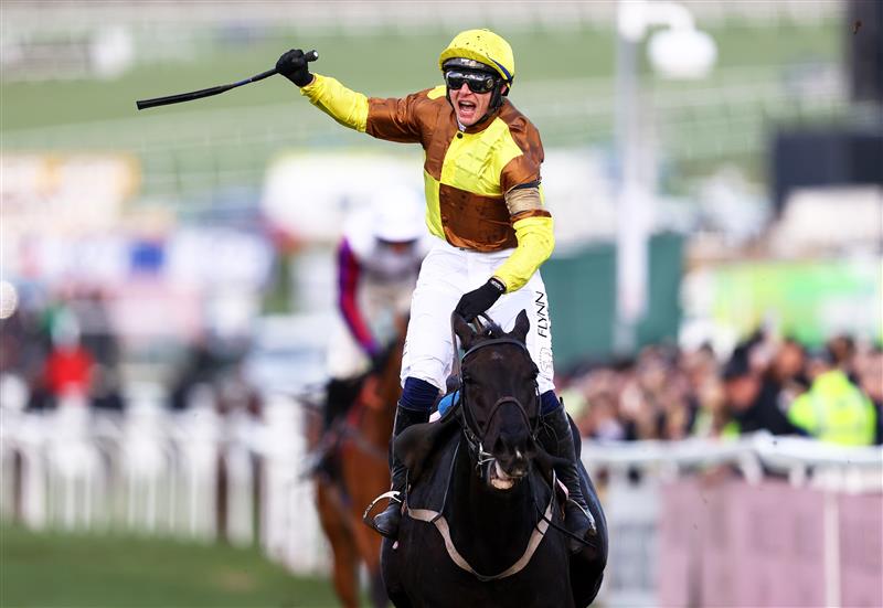 CHELTENHAM, ENGLAND - MARCH 17: Paul Townend on board Galopin Des Champs celebrate after winning the Boodles Cheltenham Gold Cup Chase during day four of the Cheltenham Festival 2023 at Cheltenham Racecourse on March 17, 2023 in Cheltenham, England. (Photo by Michael Steele/Getty Images)