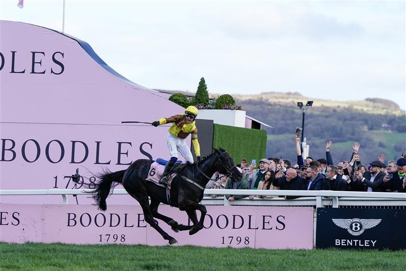 CHELTENHAM, ENGLAND - MARCH 17: Paul Townend riding Galopin Des Champs win The Boodles Cheltenham Gold Cup Chase during day four of the Cheltenham Festival 2023 at Cheltenham Racecourse on March 17, 2023 in Cheltenham, England. (Photo by Alan Crowhurst/Getty Images)