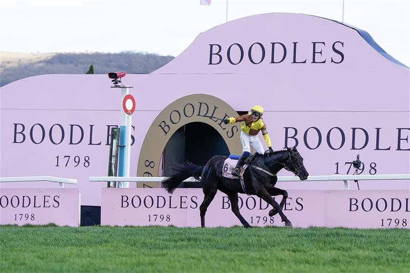 CHELTENHAM, ENGLAND - MARCH 17: Paul Townend riding Galopin Des Champs win The Boodles Cheltenham Gold Cup Chase during day four of the Cheltenham Festival 2023 at Cheltenham Racecourse on March 17, 2023 in Cheltenham, England. (Photo by Alan Crowhurst/Getty Images)