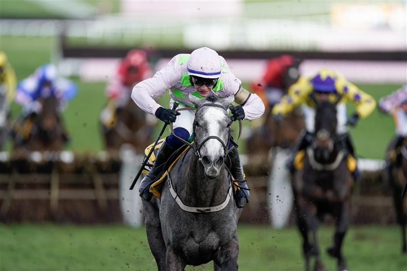 CHELTENHAM, ENGLAND - MARCH 17: Paul Townend riding Lossiemouth (pink) clear the last to win The JCB Triumph Hurdle during day four of the Cheltenham Festival 2023 at Cheltenham Racecourse on March 17, 2023 in Cheltenham, England. (Photo by Alan Crowhurst/Getty Images)