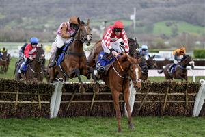CHELTENHAM, ENGLAND - MARCH 17: Bridget Andrews riding Faivoir (L, brown) clear the last to win The McCoy Contractors County Handicap Hurdle during day four of the Cheltenham Festival 2023 at Cheltenham Racecourse on March 17, 2023 in Cheltenham, England. (Photo by Alan Crowhurst/Getty Images)