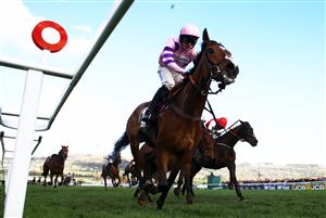 CHELTENHAM, ENGLAND - MARCH 17: Harry Cobden on board Stay Away Fay (L) on their way to winning the Albert Bartlett Novices Hurdle during day four of the Cheltenham Festival 2023 at Cheltenham Racecourse on March 17, 2023 in Cheltenham, England. (Photo by Michael Steele/Getty Images)