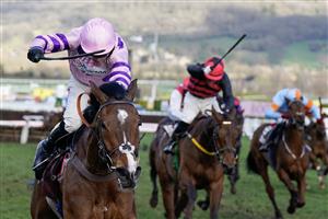CHELTENHAM, ENGLAND - MARCH 17: Harry Cobden riding Stay Away Fay (pink) clear the last to win The Albert Bartlett Novices' Hurdle during day four of the Cheltenham Festival 2023 at Cheltenham Racecourse on March 17, 2023 in Cheltenham, England. (Photo by Alan Crowhurst/Getty Images)