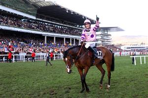 CHELTENHAM, ENGLAND - MARCH 17: Harry Cobden celebrates on board Stay Away Fay after winning the Albert Bartlett Novices Hurdle during day four of the Cheltenham Festival 2023 at Cheltenham Racecourse on March 17, 2023 in Cheltenham, England. (Photo by Michael Steele/Getty Images)
