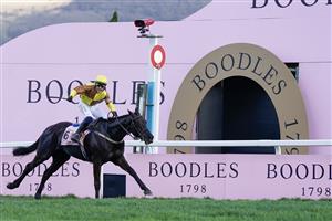 CHELTENHAM, ENGLAND - MARCH 17: Paul Townend riding Galopin Des Champs win The Boodles Cheltenham Gold Cup Chase during day four of the Cheltenham Festival 2023 at Cheltenham Racecourse on March 17, 2023 in Cheltenham, England. (Photo by Alan Crowhurst/Getty Images)
