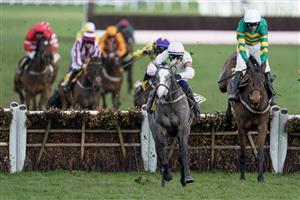 CHELTENHAM, ENGLAND - MARCH 17: Paul Townend riding Lossiemouth (pink) clear the last to win The JCB Triumph Hurdle during day four of the Cheltenham Festival 2023 at Cheltenham Racecourse on March 17, 2023 in Cheltenham, England. (Photo by Alan Crowhurst/Getty Images)